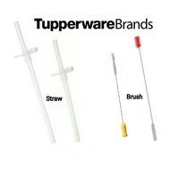 Tupperware Twinkle Straw 500ml / Straw Brush ( 1 )