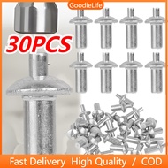 30pcs Hammer Type Expansion Rivet-aluminum Core Nail Head Punched Rivet Knock in Self Tapping Screw