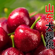 杞农优食【抢鲜预订】山东大樱桃车厘子新鲜水果礼盒当季孕妇美早先锋红灯 5斤（单果23-26mm)净重4斤