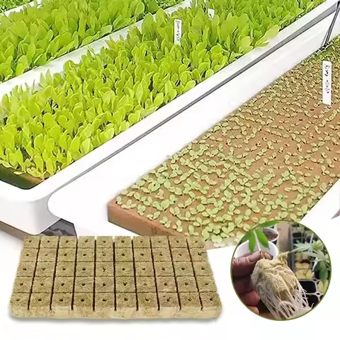 50-150Pcs High-Quality Rockwool Seedling Cube 25x25x25mm Soilless Cultivation Media With 7.8 PH Valu