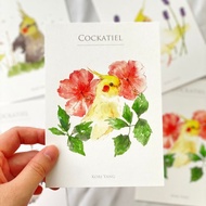 水彩鳥兒明信片 36 玄鳳鸚鵡