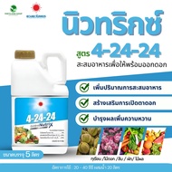 ปุ๋ยน้ำ 4-24-24 แกลลอน (ขนาด 5 ลิตร) ดวงตะวันเพชร