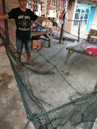 Paling Terpopuler Jaring Keramba Jaring Ikan Jaring Apung Jala Lempar