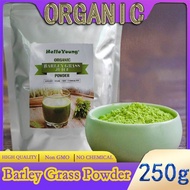 barley powder pure organic Organic Barley Grass Powder original 250g barley grass official store Finely Ground Whole Dried Young Leaves, Pure, Kosher