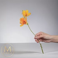 【Floral M】初戀少女黃色波斯菊仿真花花材 （3入組）