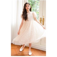 Daisy Pattern Party Dress/B24/790