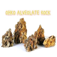 DRAGON OHKO ALVEOLATE ROCK 1KG (DECO FISH TANK/AQUACAPE/LANSCAPE)