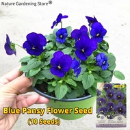 เมล็ดพันธุ์ ดอกแพนซี่ แพนซี่ เมล็ดดอกแพนซี่ ไวโอล่า ดอกหน้าแมว บรรจุ 10 เมล็ด Blue Pansy Flower Seeds for Planting เมล็ดดอกไม้ เมล็ดบอนสี ต้นไม้มงคล บอนสี ดอกไม้ปลูกสวยๆ เมล็ดพันธุ์ดอกไม้ ไม้ประดับ พันธุ์ดอกไม้ ต้นบอนสี ดอกไม้ปลูก ของแต่งสวน ปลูกง่าย โตไว