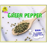 綠胡椒粒 綠胡椒 香料 –【啟陞食品】–【湖廣藥材】-【火速出貨】台北市迪化街一段74號【02-25560870】