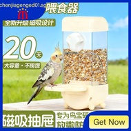 [48H Shipping] Parrot Automatic Feeder Anti-Splash Cockatiel Lovebird Budgerigar Sunbird Food Dispen