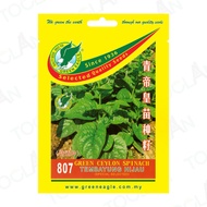 807 Green Ceylon Spinach Seeds / Benih 807 Tembayung Hijau