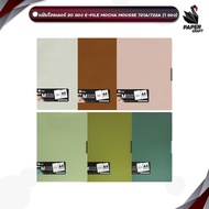 E-file (E-file) 20-Pocket Folder file A4 Size Model 721A And 722A (1 Book))