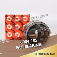 6004 2RS FAG BEARING