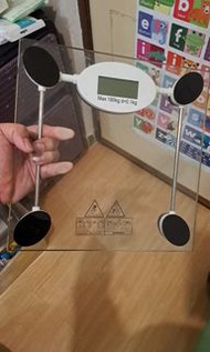 電子體重磅
