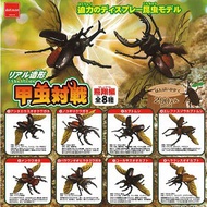 Asari Japanese Gashapon Beetle Battle Flying Chapter Insect