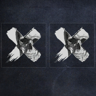 BERUIXER | Cyberpunk X Skull Reflective Scratch Concealing Sticker