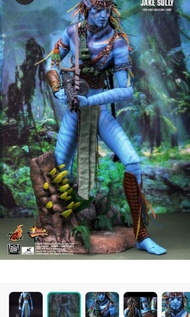全新啡盒未開Hottoys Avatar Jake Sully mms159 Hot Toys 阿凡達