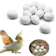 [lzdjlmy1zs] 12x Fixed Pigeon Eggs, Artificial Eggs Pigeon False Eggs Simulation Eggs for The Birds,