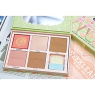 Cheekleaders Pink Squad Blush Palette Bronzer Highlighter