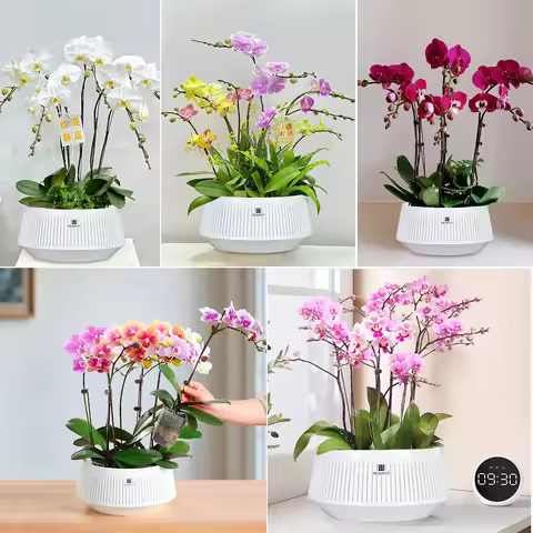 Meshpot Orchid Pot with Holes Plastic Flower Pot Decorative African Violet Pots with Air-Pruning and