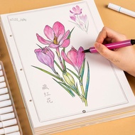Materia Medicine Outline Drawing Line Drawing Drawing Drawing Drawing Drawing Drawing Drawing Drawin