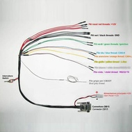 3X Car MPPS V18 Version V18.12.3.8 Breakout Tricore Cable ECU Programming Multi-Connector OBD 16PIN