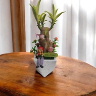 【可愛爆擊】巴西鐵樹組合盆栽 新居開幕喬遷送禮自用玄關陽台擺