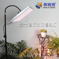 赛瑞特 全光谱植物补光灯45w多肉LED补光灯仿太阳光室内绿植植物生长灯 45瓦带支架套餐（15号光谱） 45W