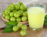 ขายส่ง 100 เมล็ด เมล็ดมะขามป้อม เมล็ดสำหรบปลูก มะขามป้อมอินเดีย Indian gooseberry ไม้ยืนต้น สมุนไพรพ