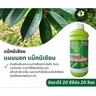 Thepwatana Mammoth Magnesium 1L | Baja Foliar Magnesium Untuk Daun Hijau Durian Sawit Sayur Pokok Bu