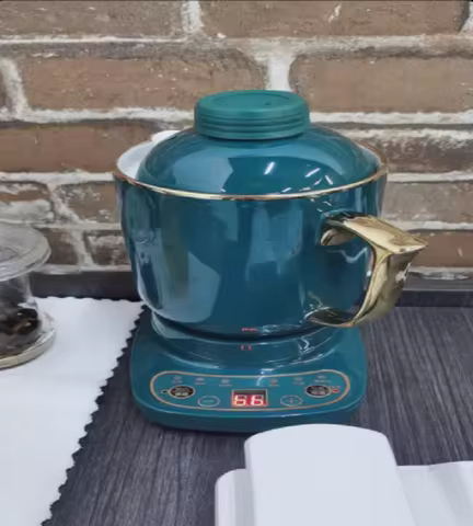 110V/220V Electric Kettle Ceramic Tea Warmer Health Care Overheat Protection for Japan USA Canada DW