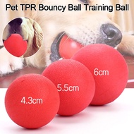 Pet TPR Bouncy Ball Training Ball