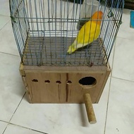 NESTBOX LOVEBIRD /KOTAK TELUR BURUNG LOVEBIRD