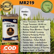 Bibit Padi Unggul MR219 Padi MR 219 5kg