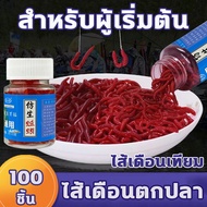 👍เหยื่อตกปลาสำหรับมือใหม่👍100ชิ้น ไส้เดือนตกปลา เหยื่อตกปลา เหยื่อตกปลาชะโด เหยื่อตกปลานิล ไส้เดือน ไส้เดือนตกปลา ไส้เดือนปลอม ไส้เดือนยาง ไส้เดือน blueworm เหยื่อตกปลา