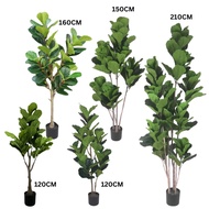 Premium Artificial Fiddle Leaf Fig Tree / Pokok Fiddle Fig / 仿真琴叶无花果树室内装饰 / Home Deco