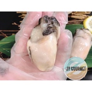 【Frozen Seafood 冷冻海产】 Oyster Meat 生蚝肉 1kg