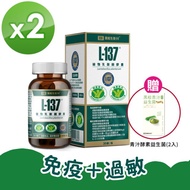 【黑松生技H+】L-137植物乳酸菌膠囊(30顆)X2盒&lt;贈黑松青汁酵素益生菌(2入)X1&gt;