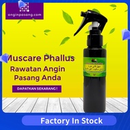 Penawar Angin Pasang Hernia Uluran Muscare Phallus