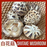 白花菇 Shiitake Mushroom 100g / 200g