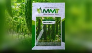 Benih Paria Pare 10 gram Tanjung 11 Asli Cap MMT Vigor