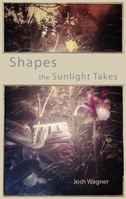 Shapes the Sunlight Takes Josh Wagner