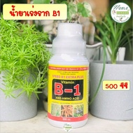 น้ำยาเร่งราก B-1 บีวัน Speed B1 Extra Plus ขนาด 500 ซีซี  สำหรับ กระบองเพชร แคคตัส บอนสี ไม้อวบน้ำ พืชต่างๆ มีวิตามิน B1 และกรดอะมิโน