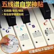 鋼琴88/61/54/49鍵音階鍵盤貼紙手捲電子琴簡譜數字音符音標貼紙