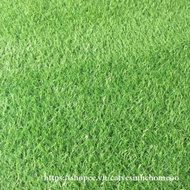 [1M X 0.5M] Artificial Plastic Grass 2cm