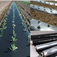 Plastic Mulch 0.8m x 600m 10 Microns Crop cultivation Crop protection Agricultural appliances