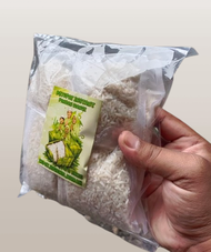 ketupat instant 20bungkus ; ketupat mini pandan wangi anti gagal