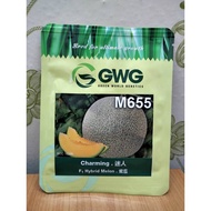 Benih Rock Melon GWG Charming M655 Hibrid F1 (Repack 5 biji)