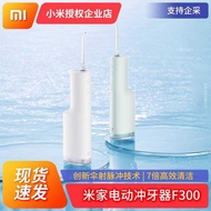 Xiaomi Mijia Electric Flosser F300 Household Portable Water Dental Floss Dental Calculus Cleaner