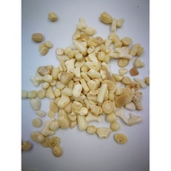 Aquarium Sea Bamboo Stone/ Aquarium Decoration/ Natural Sea Bamboo Chips